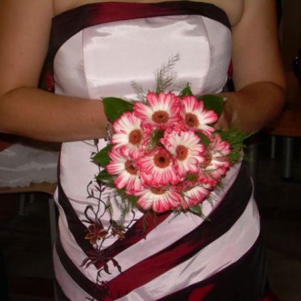 jak jsme do toho práskli aneb jak se ze Svobodové stala Drdlová