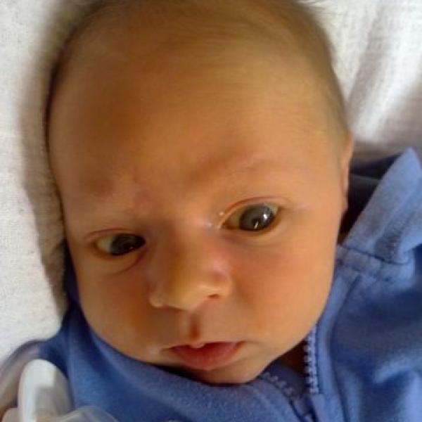 Už jsou mi tři měsíce na Moje těhotenství.cz Už jsou mi tři měsíce