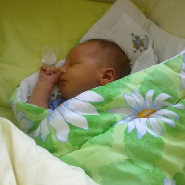 Adámkův příchod na svět