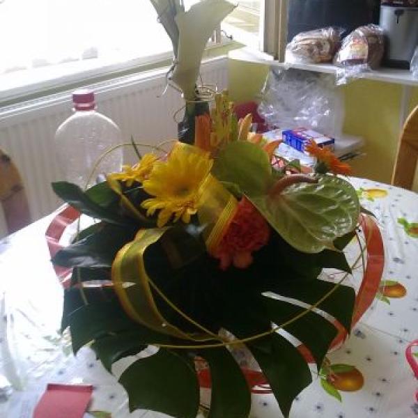 Adámkův příchod na svět