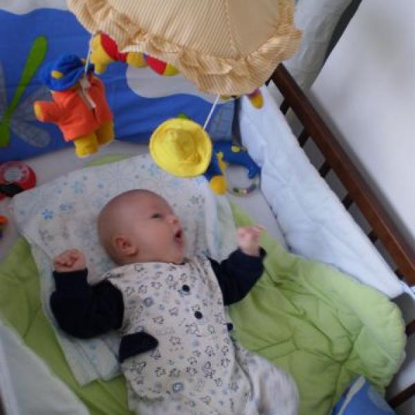 info a foto Tadeaska