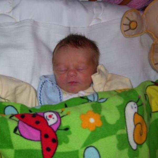 Tak už ta naše včelička vykoukla na svět....