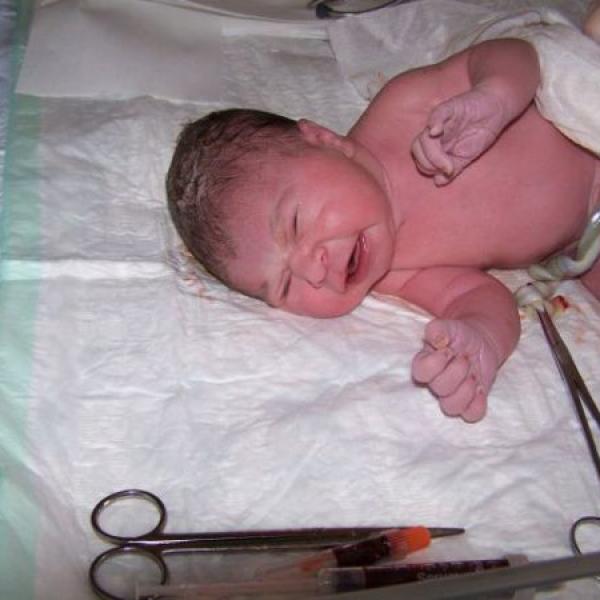 Hlásíme se už z domova