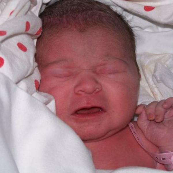 Hlásíme se už z domova