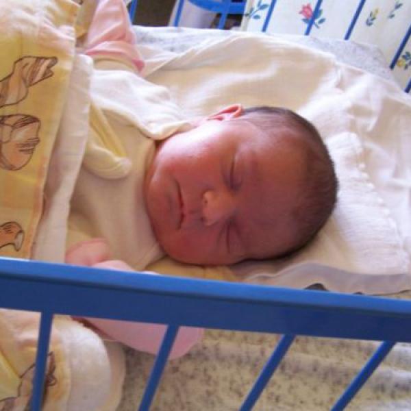 Hlásíme se už z domova