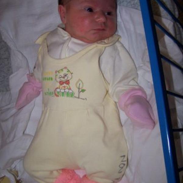 Hlásíme se už z domova