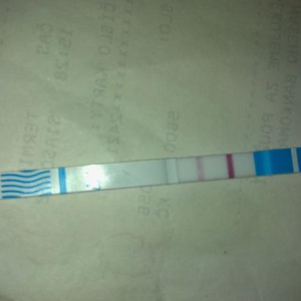 Test na Moje těhotenství.cz Test