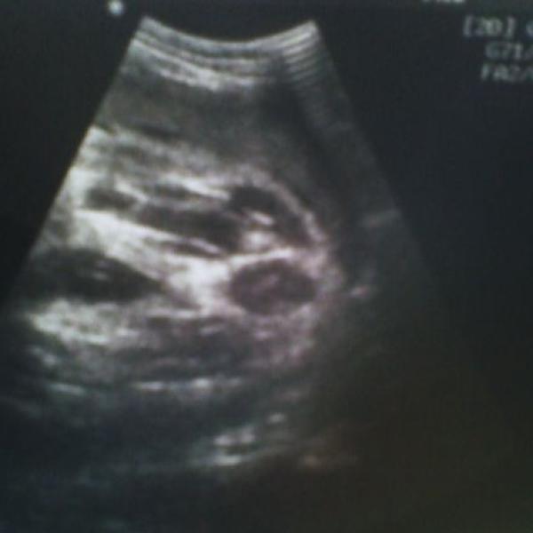 Tak co se mi skryva v domecku?