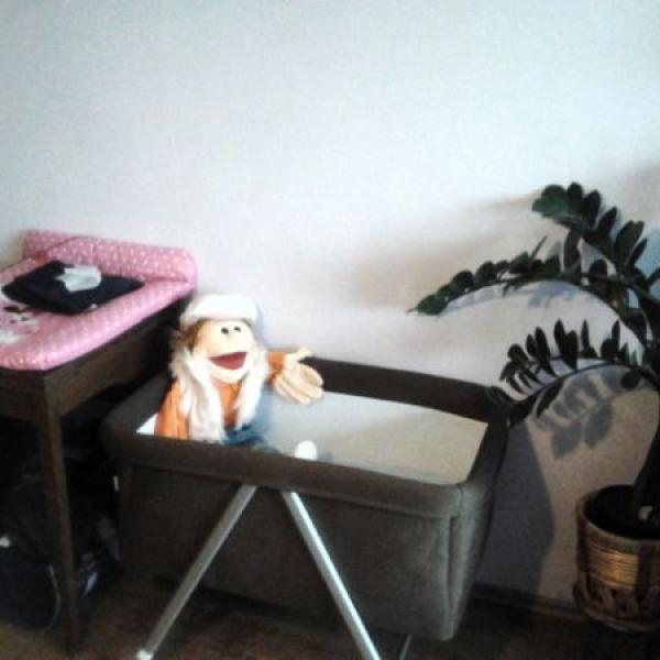 Už jen čekáme na tu naší Pepinku