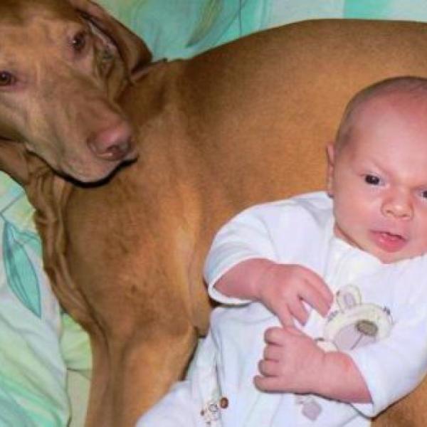 Náš první klouček.