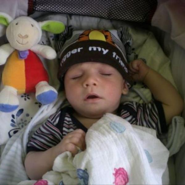 15 týden na Moje těhotenství.cz 15 týden