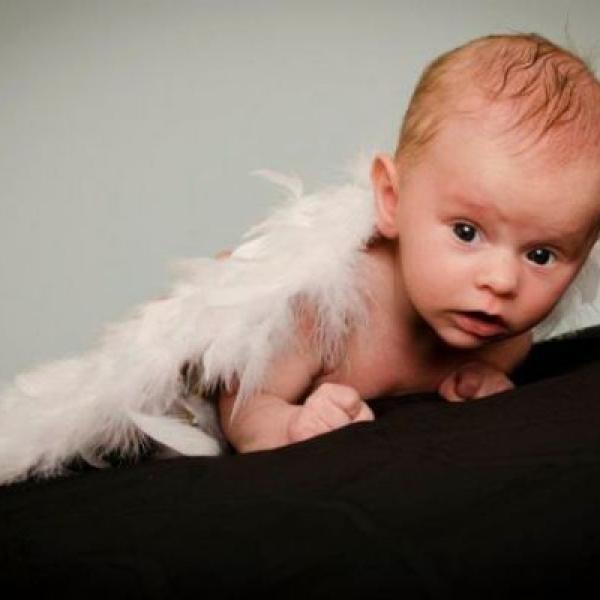 Tádík 6. týdnů - profi focení