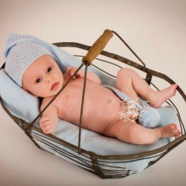 Tádík 6. týdnů - profi focení