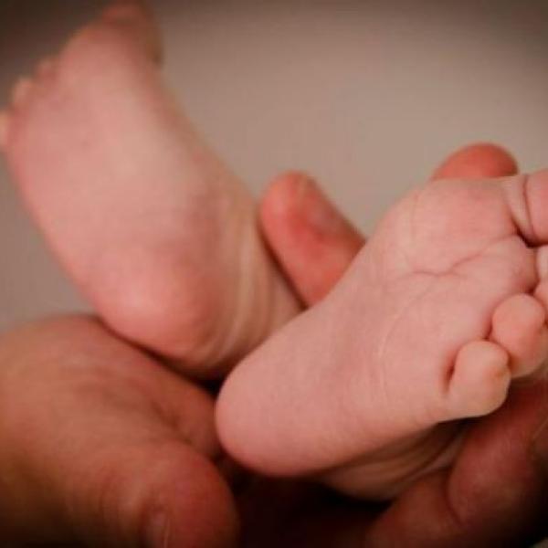 Tádík 6. týdnů - profi focení