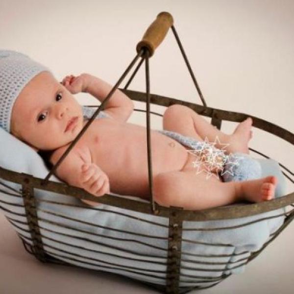 Tádík 6. týdnů - profi focení