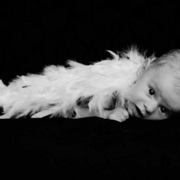 Tádík 6. týdnů - profi focení