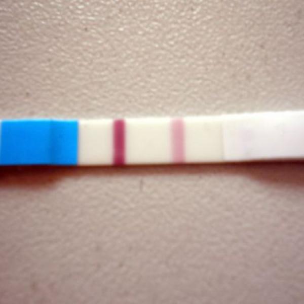 31.1.....I.těhu test