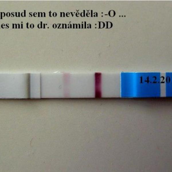 Zahajuji si blog &quot;Moje 2-hé těhotenství&quot; aneb sem těhotnááááááááááá....