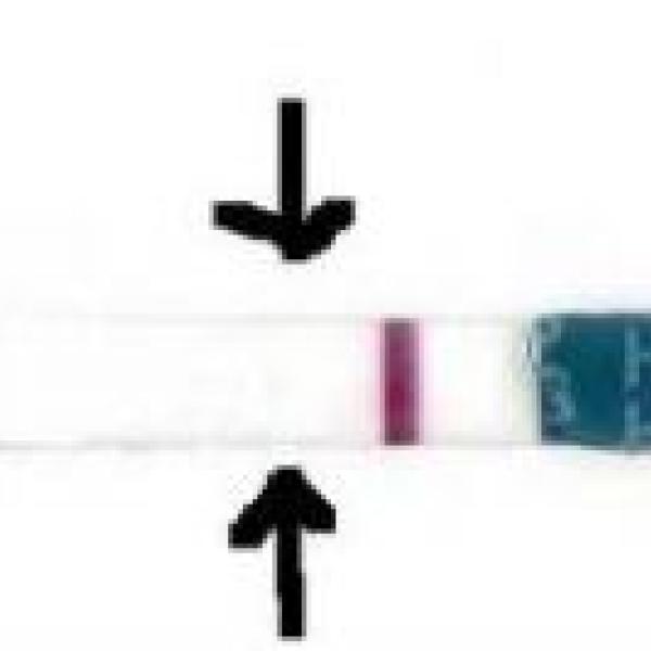 Chjooo nedaří a nedaří :-(( 