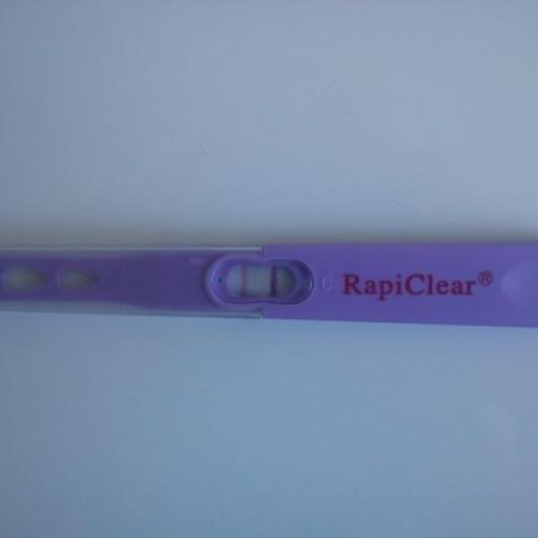 Společná cesta životem