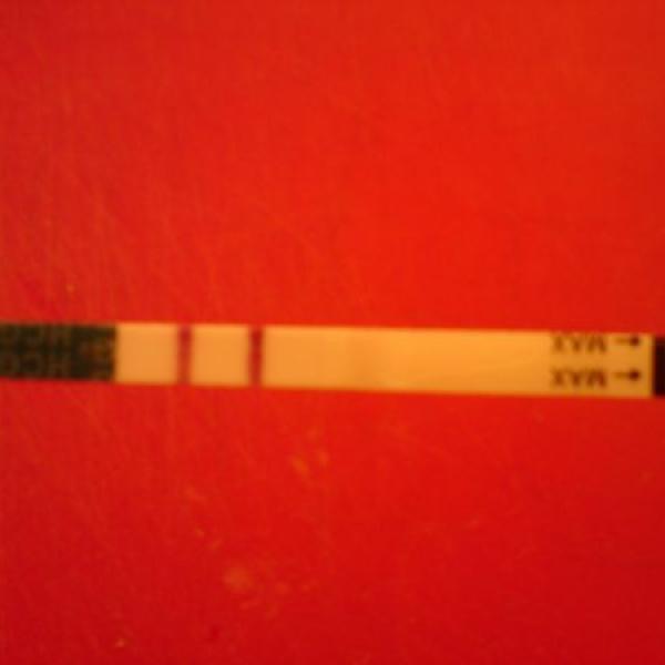 Těhulka po první ovulaci za 13 let.