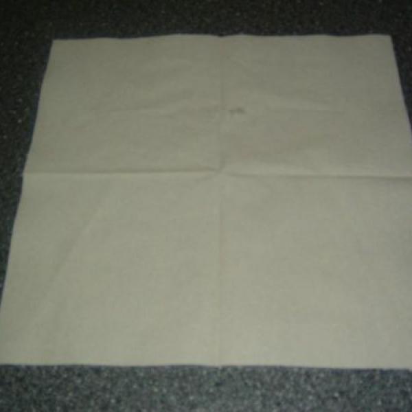 Ubrousek plamínek pro Peťku-Sárinku :-)