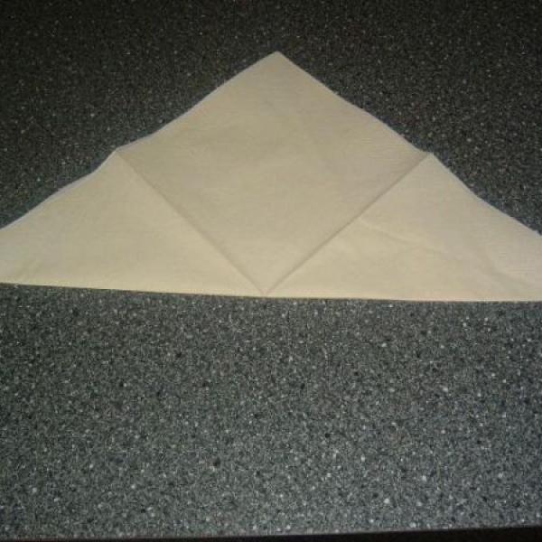 Ubrousek plamínek pro Peťku-Sárinku :-)