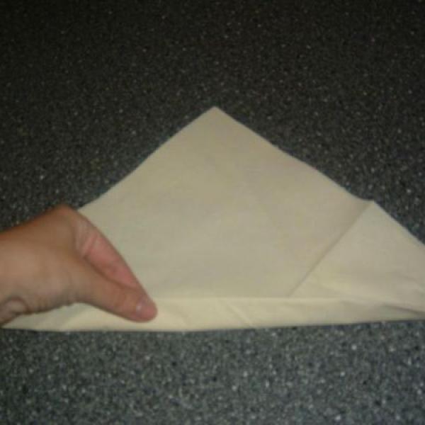 Ubrousek plamínek pro Peťku-Sárinku :-)