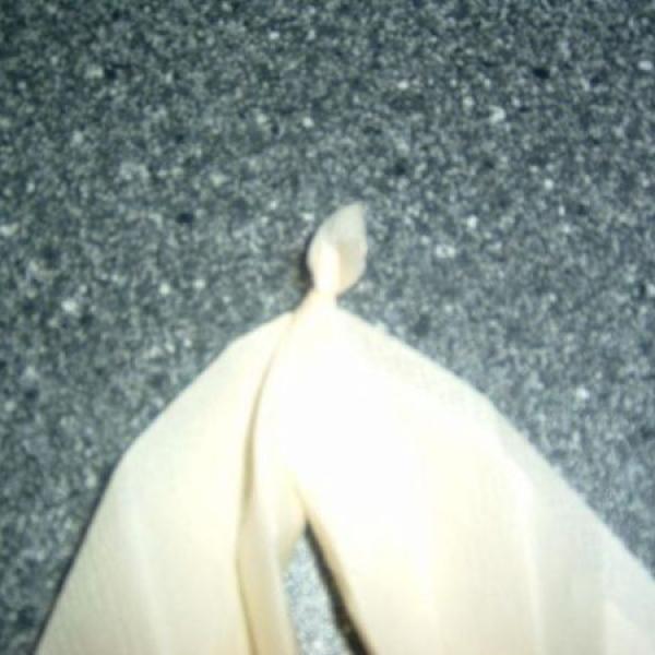 Ubrousek plamínek pro Peťku-Sárinku :-)