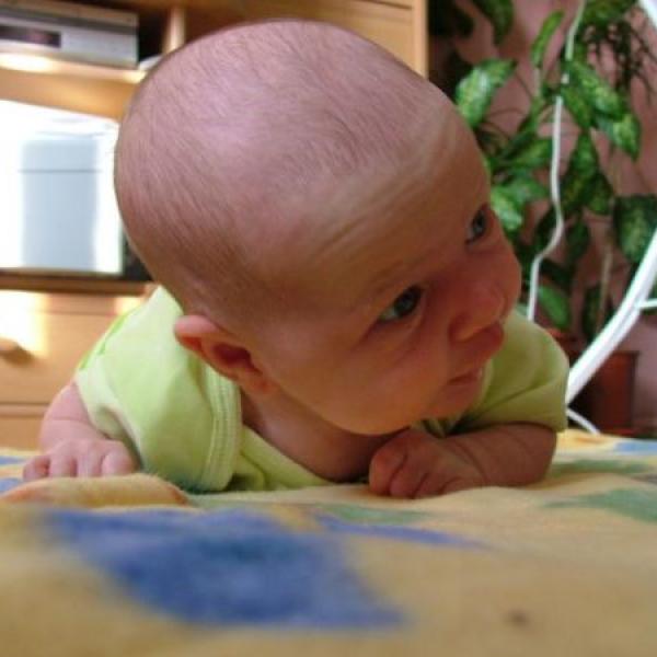 Jindřiška 4. týdny