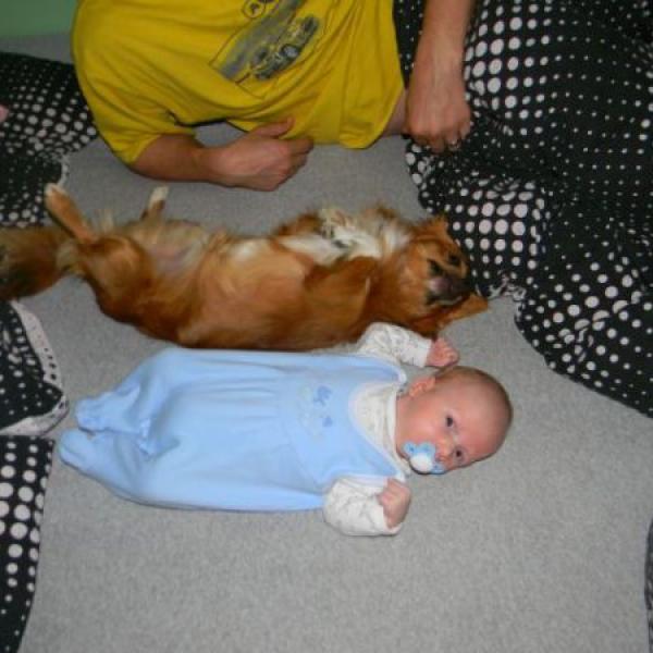 Skoničlo nám 6.nedělí