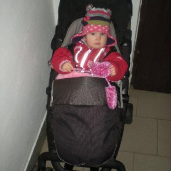 nuna buggy 2011