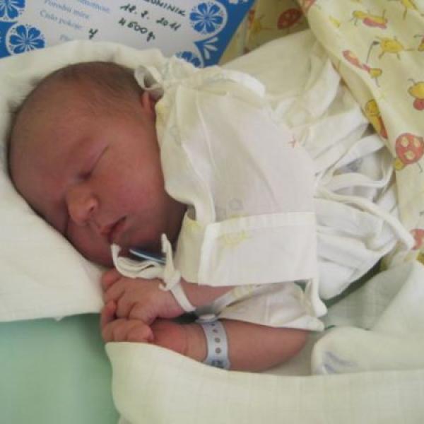 Dominik je mezi námi :)