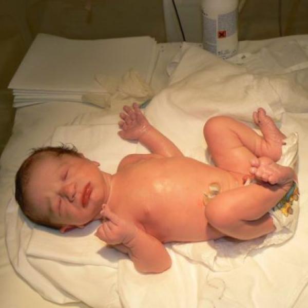 Včelátko Eda na Moje těhotenství.cz Včelátko Eda