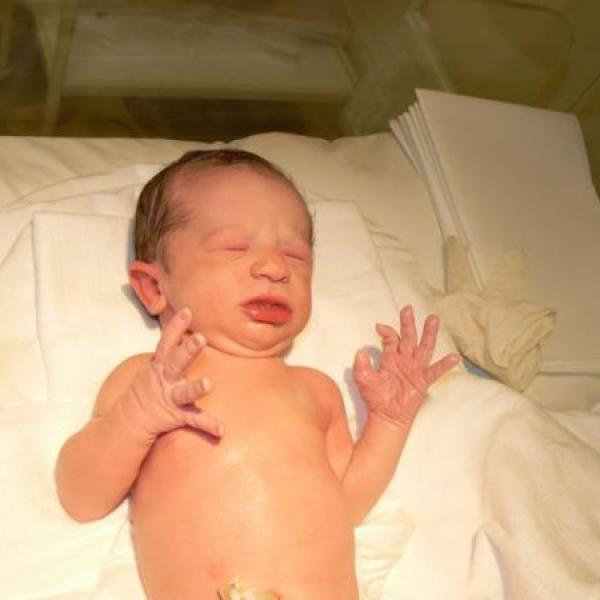 Včelátko Eda na Moje těhotenství.cz Včelátko Eda