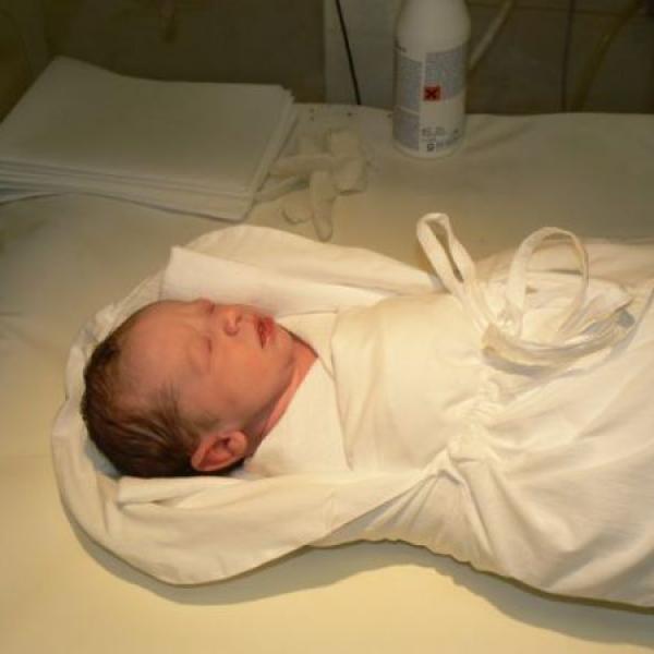 Včelátko Eda na Moje těhotenství.cz Včelátko Eda