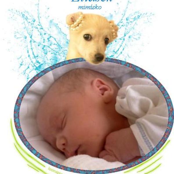 Představuji vám Listopaďátka 2011 na Moje těhotenství.cz Představuji vám Listopaďátka 2011