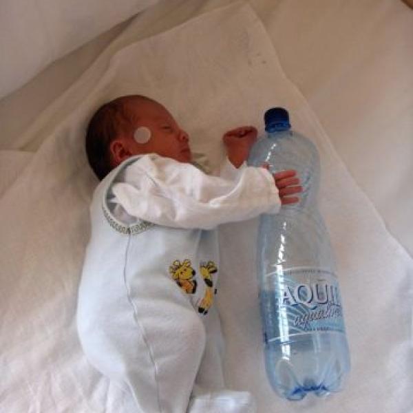 Pro zasmání :D Květinky :D na Moje těhotenství.cz Pro zasmání :D Květinky :D