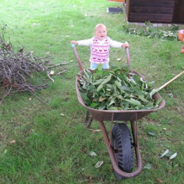 poslední měsíčniny ...........příště už rok!