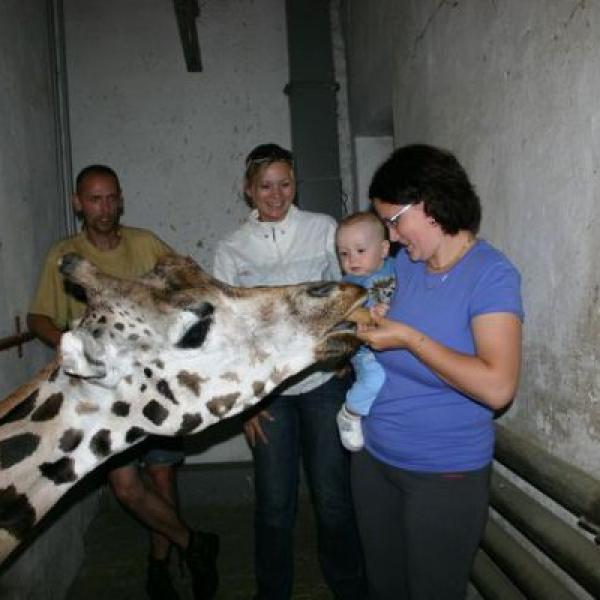 Říjňátka v ZOO Ostrava, aneb pavilon žiraf