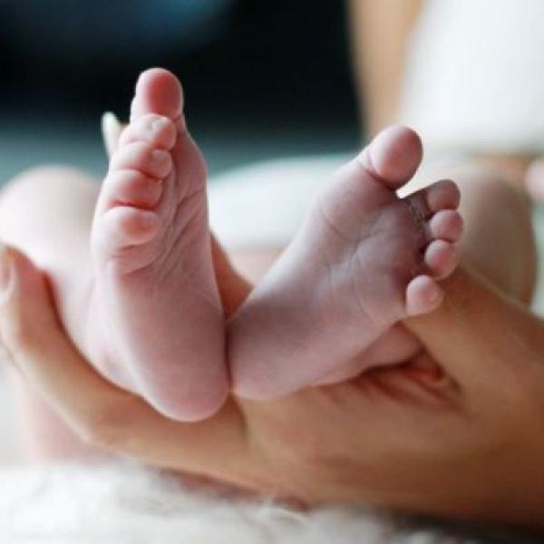 Dominik je mezi námi :)