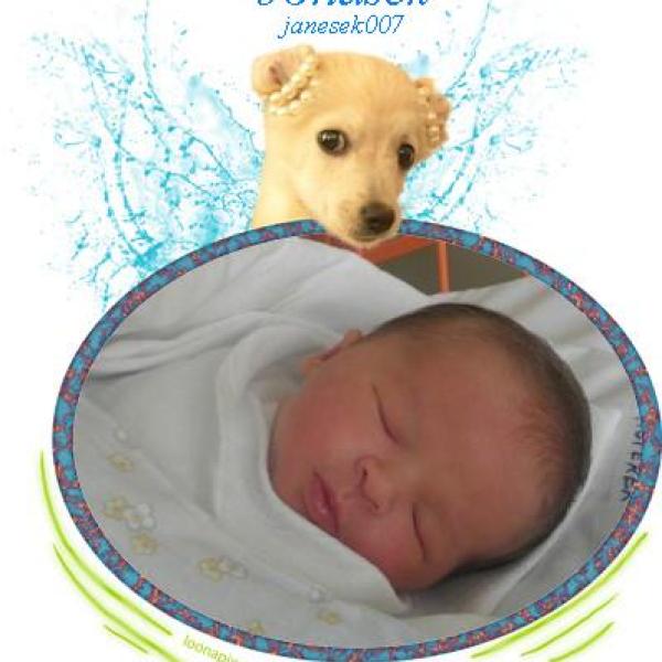 Představuji vám Listopaďátka 2011 na Moje těhotenství.cz Představuji vám Listopaďátka 2011