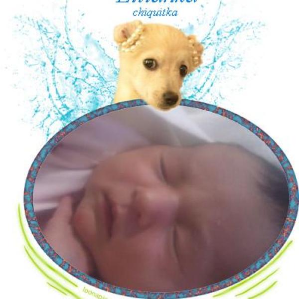 Představuji vám Listopaďátka 2011 na Moje těhotenství.cz Představuji vám Listopaďátka 2011