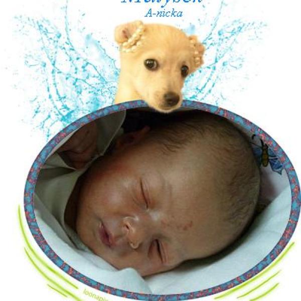 Představuji vám Listopaďátka 2011 na Moje těhotenství.cz Představuji vám Listopaďátka 2011