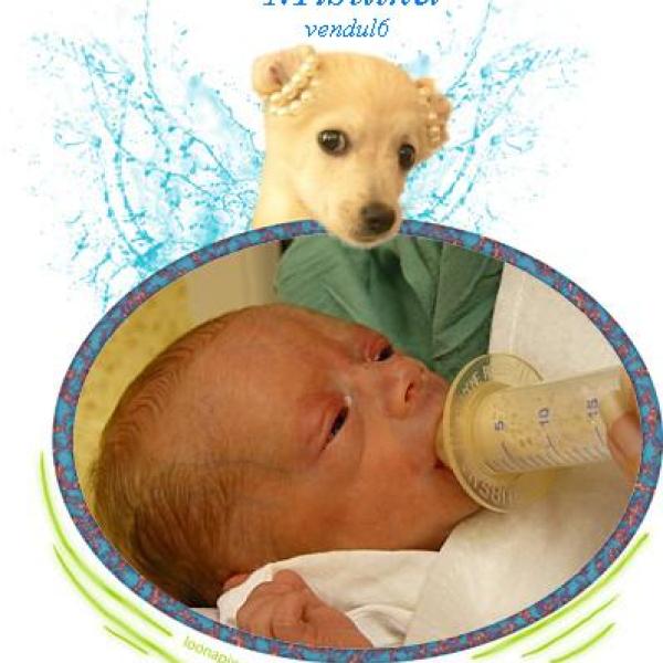 Představuji vám Listopaďátka 2011 na Moje těhotenství.cz Představuji vám Listopaďátka 2011