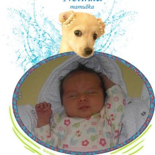 Představuji vám Listopaďátka 2011 na Moje těhotenství.cz Představuji vám Listopaďátka 2011