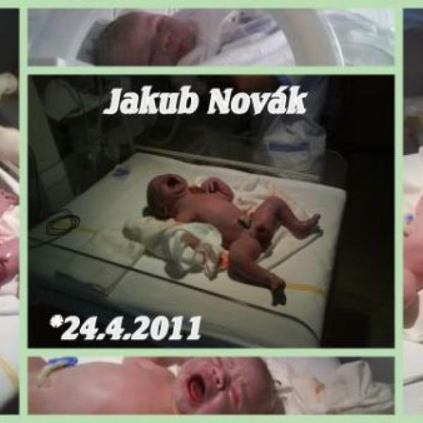 Tak se jdem taky pochlubit naším dalším přírůstkem do rodiny :)