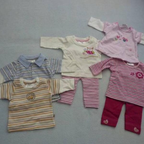 Začínáme 24. týden a rosteme...