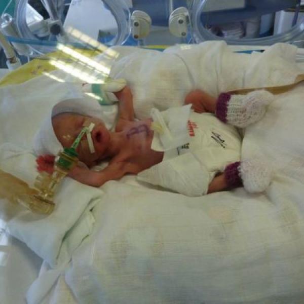 Už 16 dní jsme na světě!