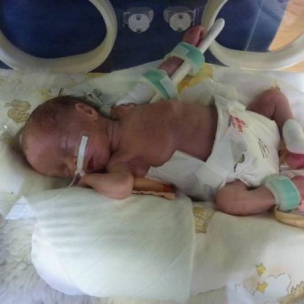 Včera nám bylo 5 dýdnů